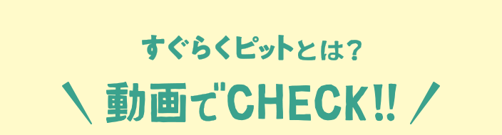 動画でチェック！
